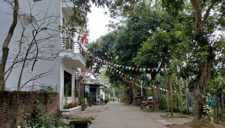 Cc gửi bán 50m2, 1.x tỷ, ĐẤT GIÃN DÂN xã Thuỵ hương, Chương Mỹ, HN, ngõ ô tô tải thông