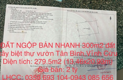 ĐẤT NGỘP BÁN NHANH 300m2 đất xây biệt thự vườn xã Tân Bình,Vĩnh Cửu