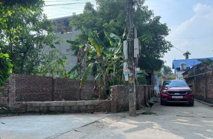 Cc cần chuyển nhượng đất 53m2, chỉ 1.x tỷ, lô góc 2 mặt tiền, siêu đẹp tại Phú Nghĩa - Chương Mỹ - Hà Nội, ô tô vào