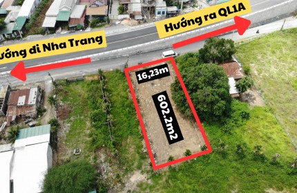 Bán Đất Rừng 19 Hecta Giá Chỉ 8,5 Tỷ Tại Cam Phước Tây, Cam Lâm, Khánh Hòa–Cơ Hội Tốt Cho Các Nhà Đầu Tư!!