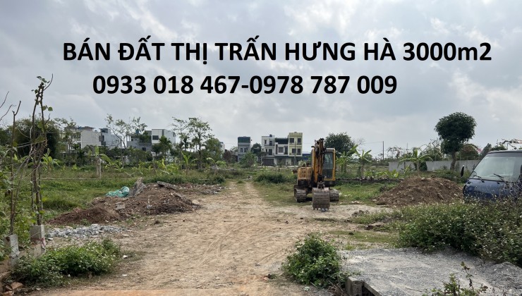 Bán đất xã tây đô, hưng hà, thái bình trục huyện 3000m2-2tr/m2-0933018467-0978787009