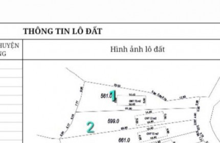 MỞ BÁN GẤP 5 LÔ F0 TẠI THÔN MỊN TO_XÃ TRÙ HỰU_LỤC NGẠN_BẮC GIANG