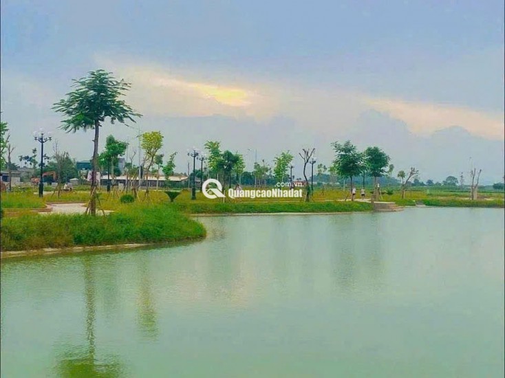 Tìm đâu ra siêu phẩm MBQH520 Rừng Thông,Thanh Hóa cực đẹp giá lại quá rẻ chỉ từ 1tỷ250