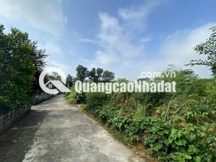 CẦN BÁN LÔ ĐẤT ĐẸP TẠI HUYỆN THỌ XUÂN TỈNH THANH HOÁ