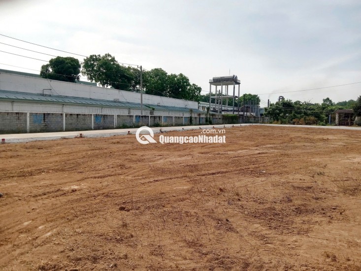 BÁN 150M2 CÓ 100M2 THỔ CỬ ĐƯỜNG OTO THANH AN, DẦU TIẾNG