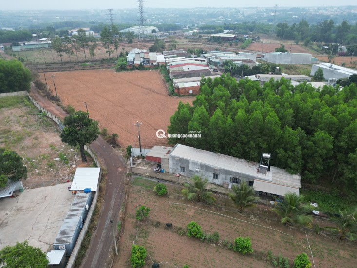 Bán đất 1000 m²  tặng nhà 600 triệu tại xã Bình Minh gần ngay QL1A giá chỉ  hơn 2 tỷ
