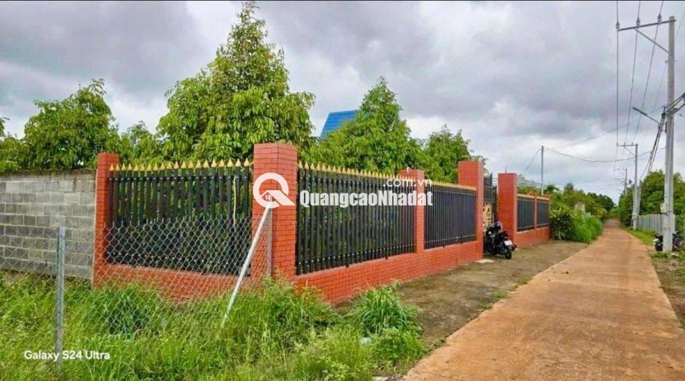 C SANG MỸ ĐỊNH CƯ KHÔNG AI CHĂM VƯỜN NÊN CẦN NHƯỢNG LẠI VƯỜN SẦU RIÊNG HIỆN TẠI CÓ 300 CÂY SẦU RIÊNG ĐÃ CHO TRÁI VÀ NHÀ TRÊN ĐẤT