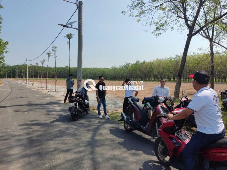 BÁN ĐẤT PHƯỜNG CHÁNH PHÚ HOÀ TP BẾN CÁT. NÀM CẠNH TP MỚI BÌNH DƯƠNG