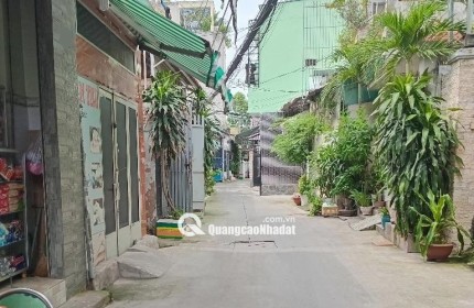 Tân Bình: 