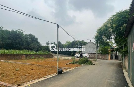 Đất Hoà Lạc, trục chính kinh doanh