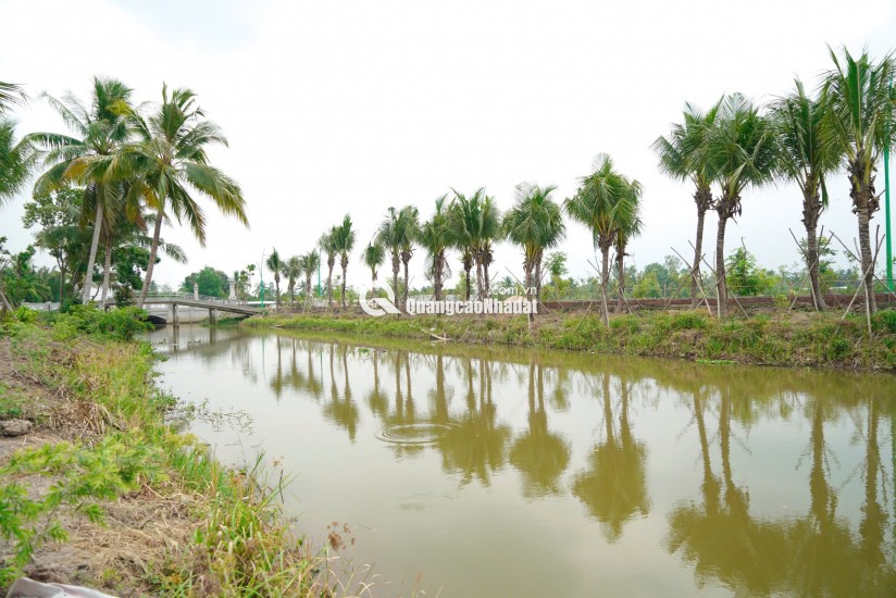 đất nền giá tốt tại agora city - khu đô thị trung tâm hành chính thương mại thủ thừa