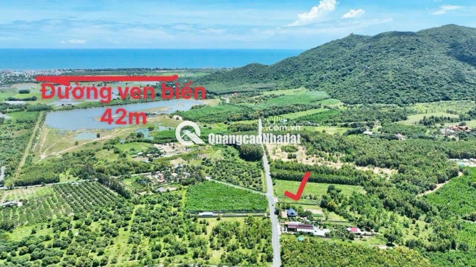 Cần bán nhanh lô góc hai mặt tiền thị trấn Phước Hải gần biển đường lớn tiện kinh doanh cho thuê