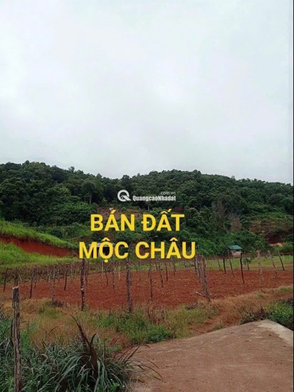 BÁN ĐẤT NGHỈ DƯỠNG, HOMESTAY TẠI  MỘC CHÂU – VỊ TRÍ VÀNG, GIÁ SIÊU TỐT! CHỈ 1,5tr/m2