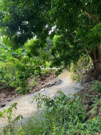 Cô Chú Lớn Tuổi - Cần Bán Gấp Mảnh Đất Vườn 1500m2 Thống Nhất, Đồng Nai
