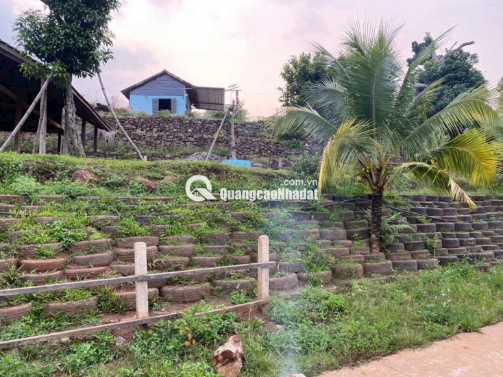 Cô Chú Lớn Tuổi - Cần Bán Gấp Mảnh Đất Vườn 1500m2 Thống Nhất, Đồng Nai