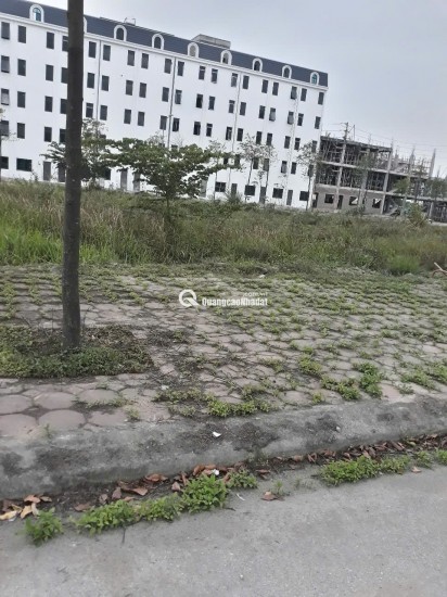 Chính chủ bán đất tại dự án 4,6ha thị trấn Lim, đã có bìa hồng