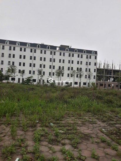 Chính chủ cần tiền bán đất tại dự án 4,6ha tại thị trấn Lim, đã có sổ hồng
