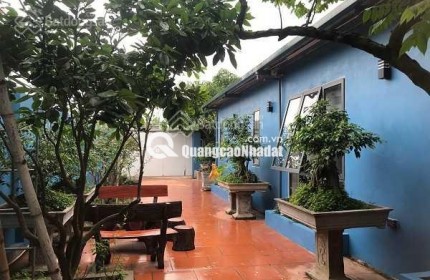 Cho thuê nhà vườn tại Đông La 520m2. 3PN, full đồ cao cấp, 15tr/tháng, gần Tố Hữu, gần công viên