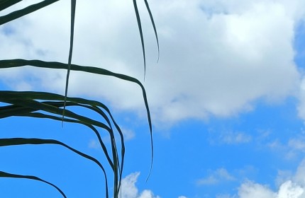 Nhà phố mặt tiền tại Cần Giuộc, Long An – Pháp lý rõ ràng