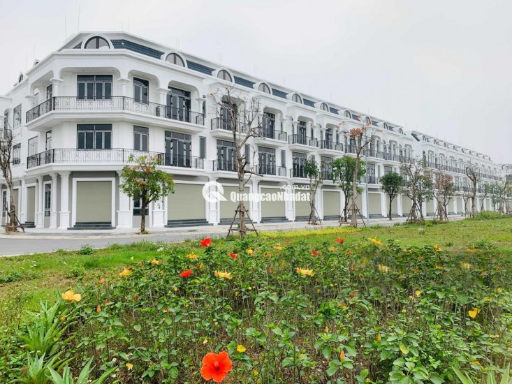 Bán căn liền kề Calyx Residence 319 Đông Anh sổ đỏ chính chủ view vườn hoa.