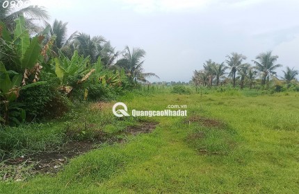 BÁN GẤP ĐẤT FULL THỔ 355M² – XÃ ĐỨC LẬP THƯỢNG – GIÁ CHỈ 1 TỶ 950 TRIỆU