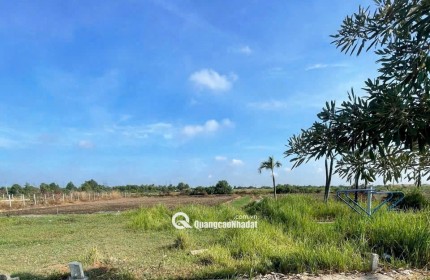 Bán gấp lô đất thổ 5x17, ODT sau lưng chợ, ngay TT. Đức Hòa