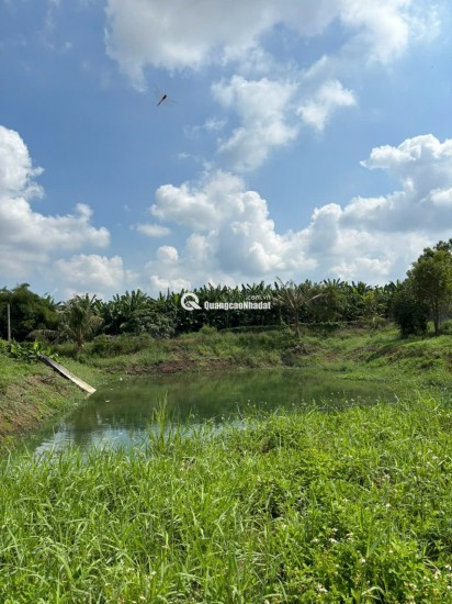 VƯỜN XOÀI ĐỊNH QUÁN GẦN HỒ TRỊ AN