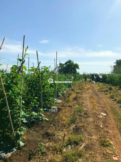 Mua đất Định Quán hỗ trợ cho vay, nhanh tay có đất View đẹp