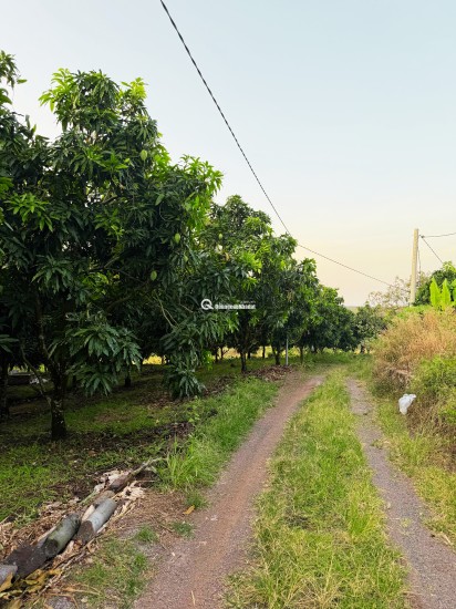 Mua đất Định Quán hỗ trợ cho vay, nhanh tay có đất View đẹp