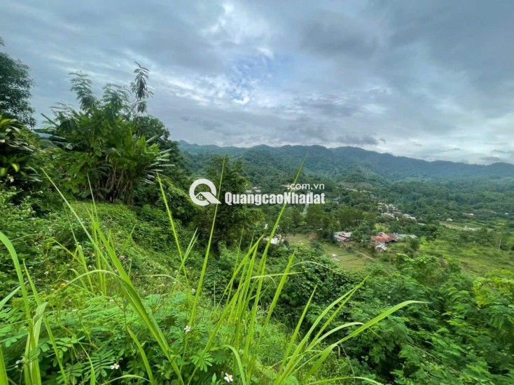 Bán đất ở