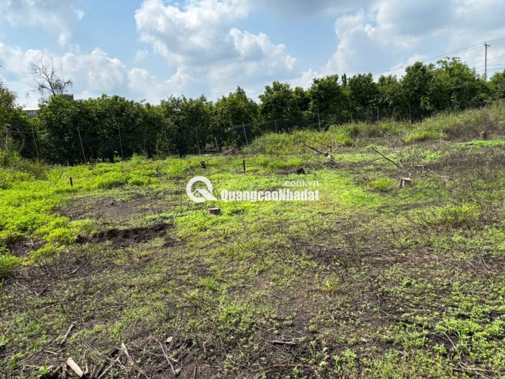 Mua đất Định Quán hỗ trợ cho vay, nhanh tay có đất View đẹp