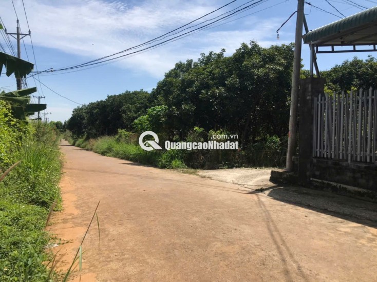Bán đất ở ngay khu dân cư có tiện ích đầy đủ, thuận tiện giao thương, buôn bán