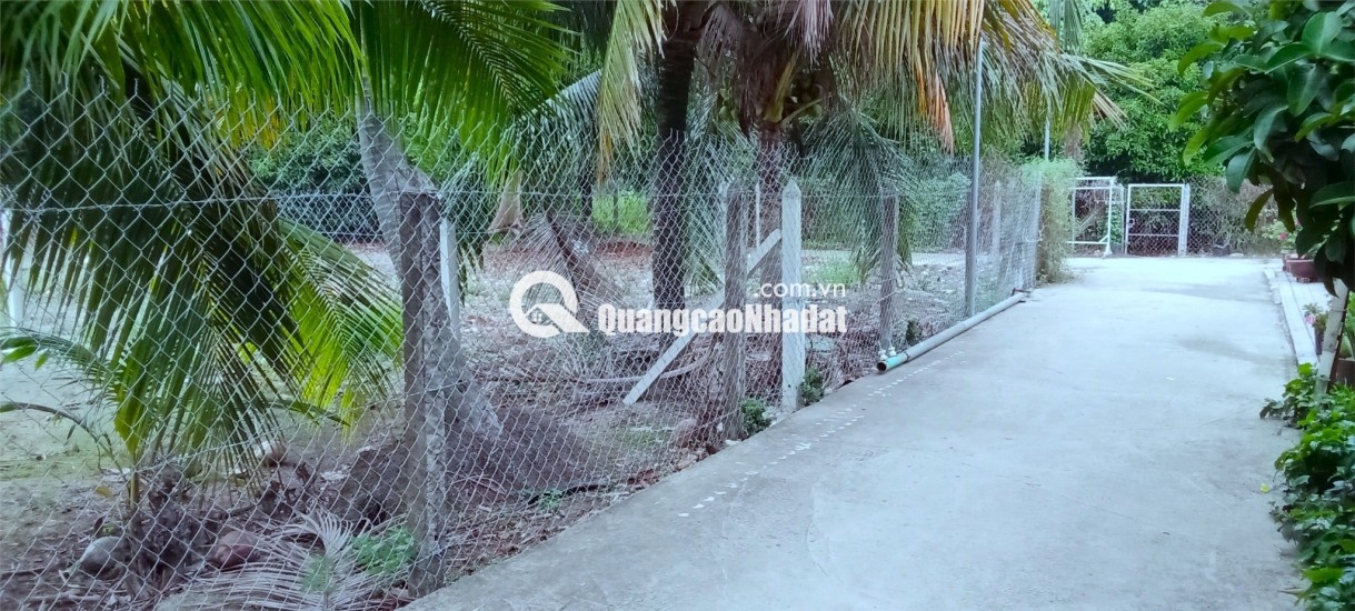 Bán Lô Đất Đẹp An Sơn 32 - Thuận An, Bình Dương