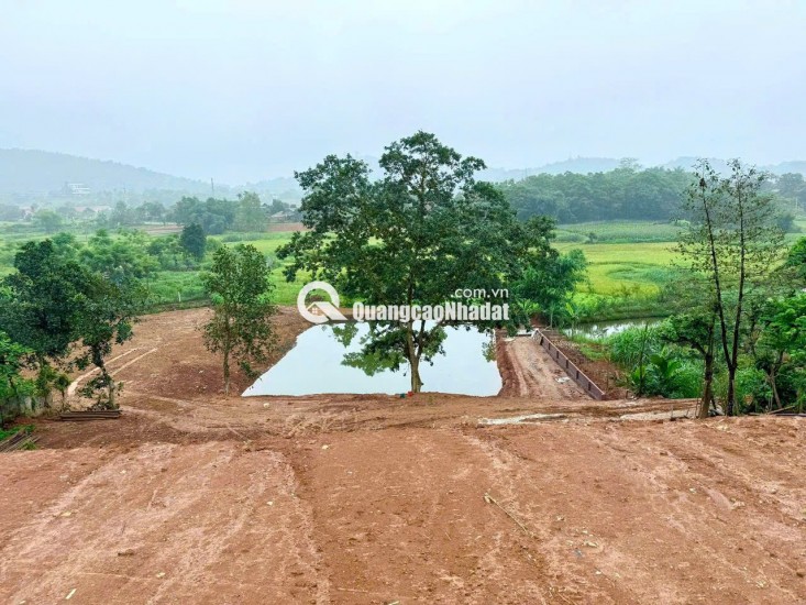 Chính chủ bán đất view đẹp nhất Thơn Dy - Minh Quang -Ba Vì