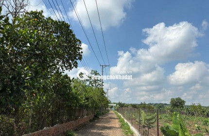 VƯỜN XOÀI ĐỊNH QUÁN GẦN HỒ TRỊ AN