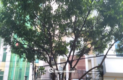 Bán Nhà Mặt Tiền Đường Trần Văn Dư, P.13, Tân Bình, 6x32m, 36.5 Tỷ