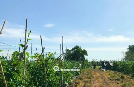 Mua đất Định Quán hỗ trợ cho vay, nhanh tay có đất View đẹp