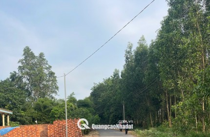 Bán 115m2 đất ở xã An Viễn, tỉnh Đồng Nai, 9,56 tr/m2