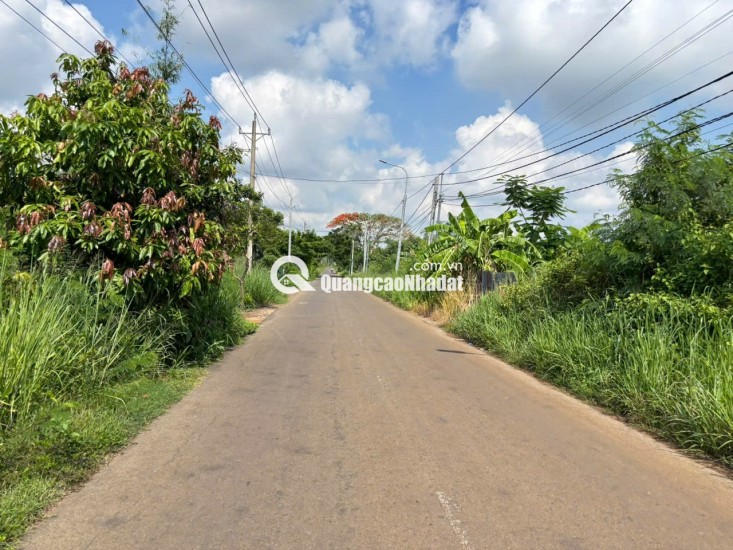 SIÊU PHẨM ĐẤT VƯỜN 3.700M² – CHÍNH CHỦ BÁN GẤP CHỈ 1,9 TRIỆU/M²
