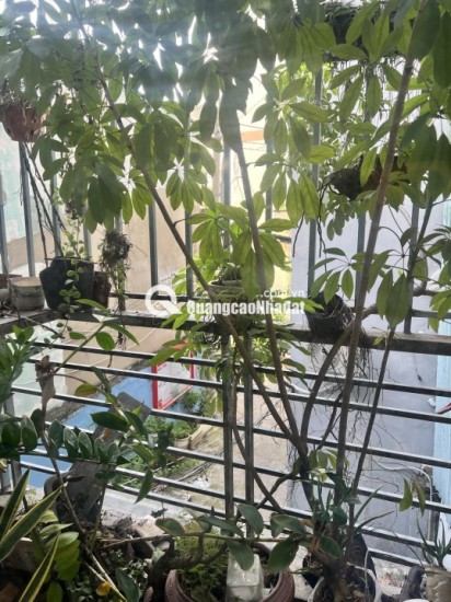 BÁN NHÀ ĐẸP KIẾN TRÚC VIEW RỪNG CÔNG VIÊN 66/ XVNT, P.21, BÌNH THẠNH. Giá 5.8 tỷ, 5PN