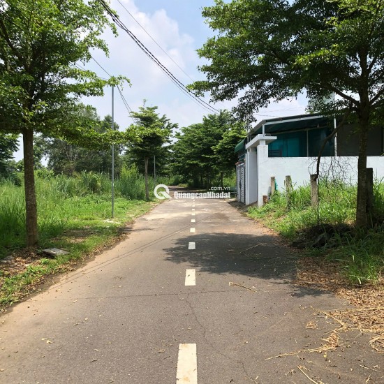  CHUYỂN NHƯỢNG lô đất 117,9m² tại xã Trảng Bom, Đồng Nai, chỉ 950 triệu!