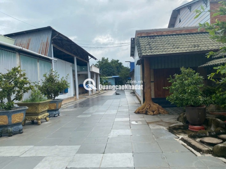 BÁN NHÀ CHÍNH CHỦ TẠI 142A LÝ THƯỜNG KIỆT, LAGI, BÌNH THUẬN