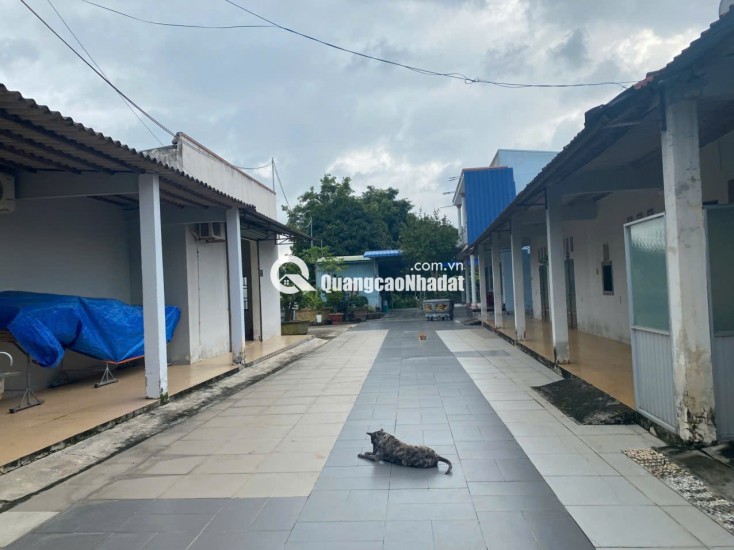 BÁN NHÀ CHÍNH CHỦ TẠI 142A LÝ THƯỜNG KIỆT, LAGI, BÌNH THUẬN