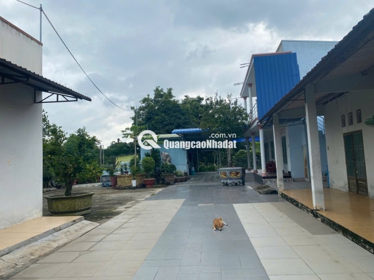 BÁN NHÀ CHÍNH CHỦ TẠI 142A LÝ THƯỜNG KIỆT, LAGI, BÌNH THUẬN