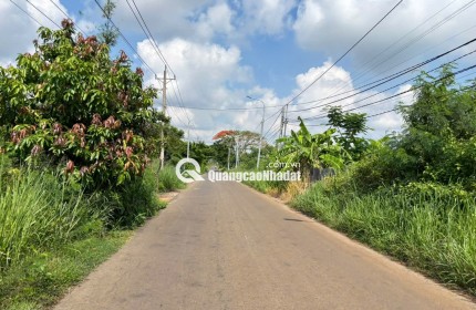 SIÊU PHẨM ĐẤT VƯỜN 3.700M² – CHÍNH CHỦ BÁN GẤP CHỈ 1,9 TRIỆU/M²