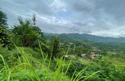 Bán đất có nhà ở và kho bãi xã Thanh Minh Thanh Phố ĐBP
