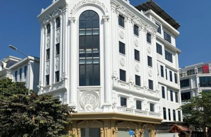 Cho thuê biệt thự ngõ 214 Nguyễn Xiển ,120m x 5 tầng 1 tum thông sàn , thang máy riêng có PCCC