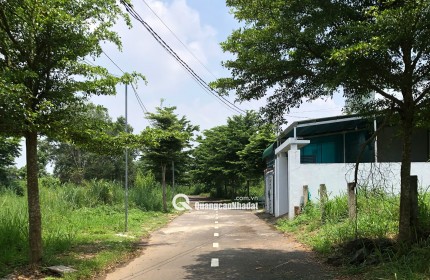  CHUYỂN NHƯỢNG lô đất 117,9m² tại xã Trảng Bom, Đồng Nai, chỉ 950 triệu!