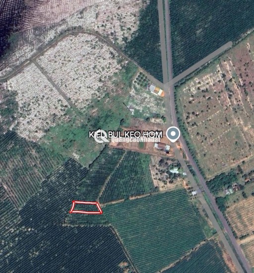 khả năng dự án Vàng: 1033m2 Đất Thổ Cư Quốc Lộ 55, Hàm Tân - Bình Thuận, Chỉ 1 Tỷ!