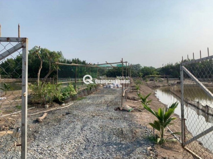 Bán lô đất thổ phân lô mặt tiền đê bao giá 7,5 tỷ
